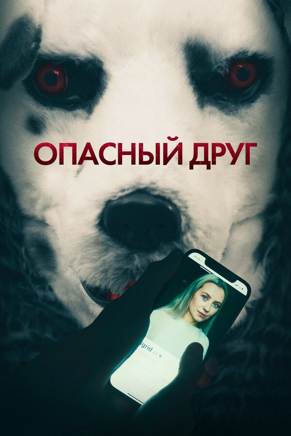 Опасный друг постер